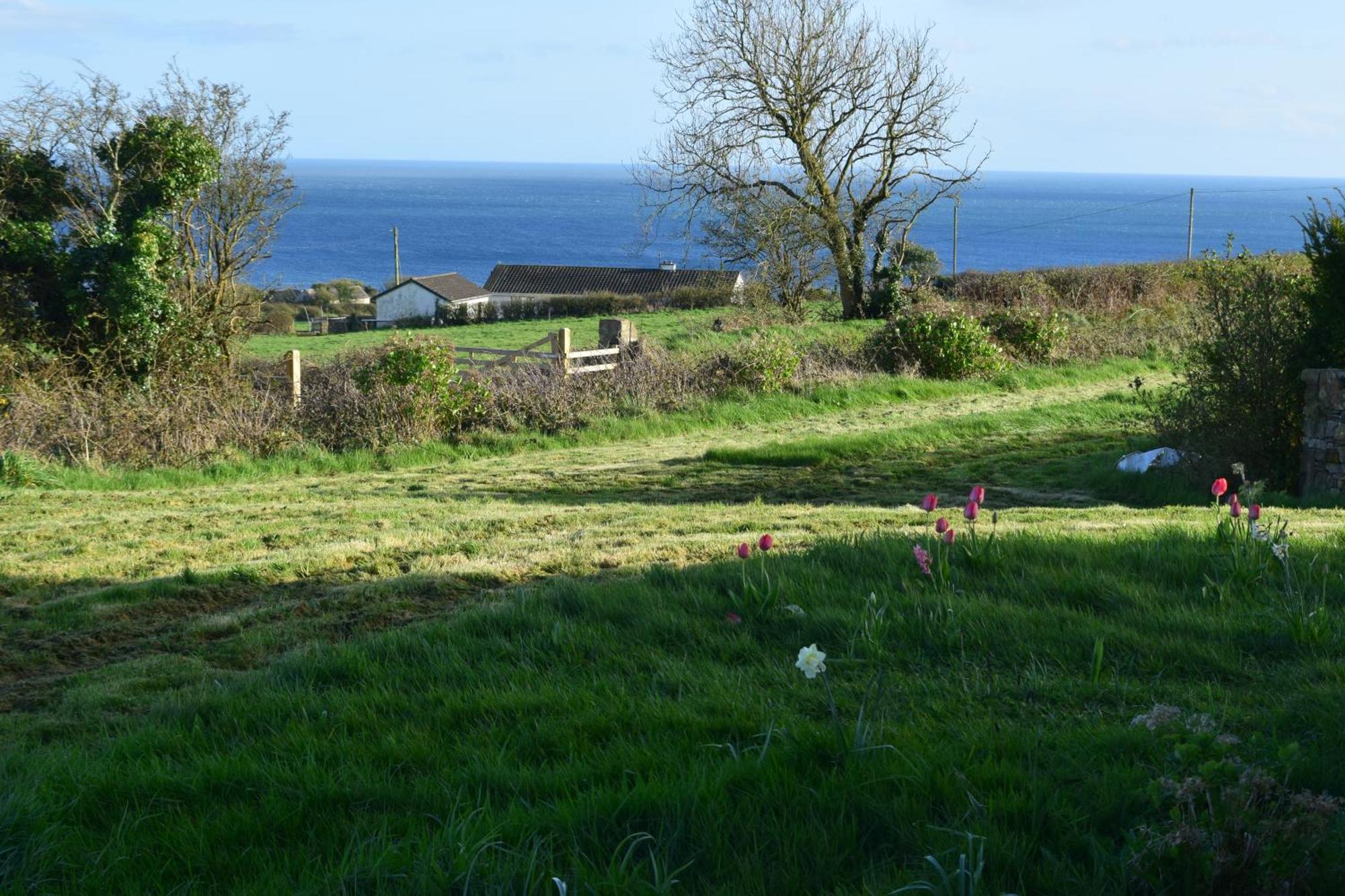 Bed and Breakfast Cedarblue Dungarvan  Exterior foto